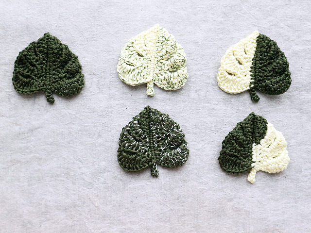 Monstera leaves