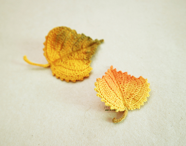 Birch autumn leaves