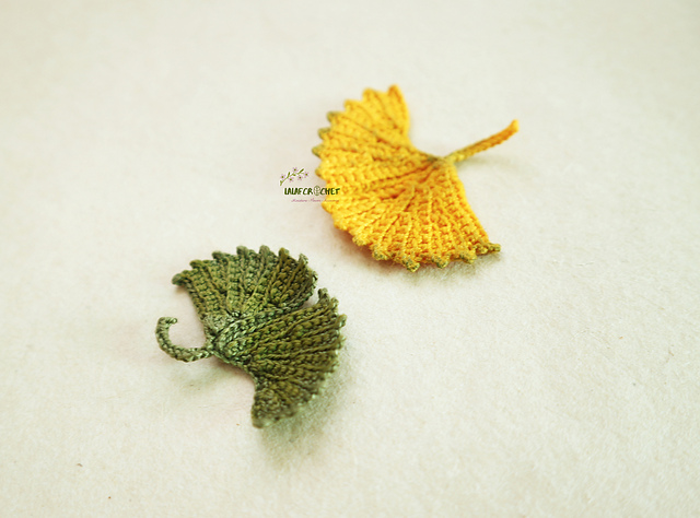 Ginkgo autumn leaves