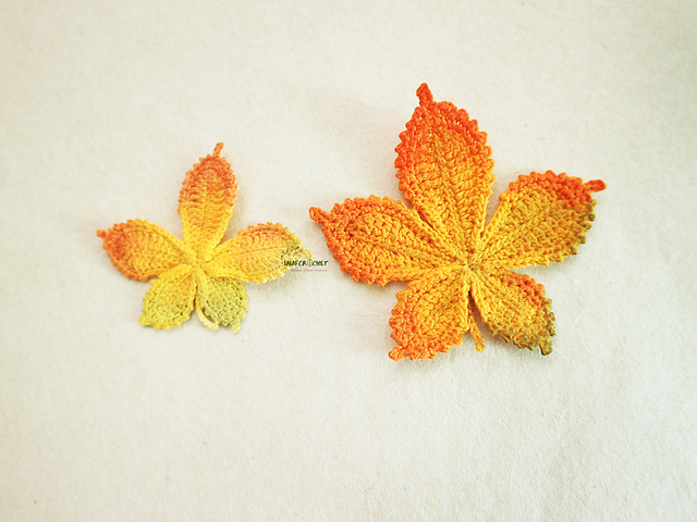 Horse chestnut autumn leaves