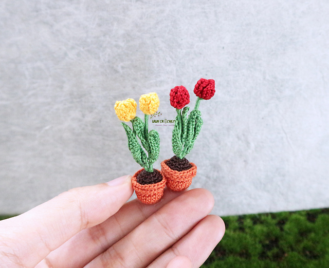 Miniature potted tulips