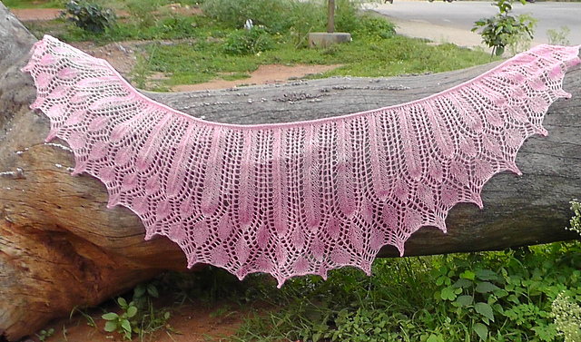 Vismaya Lace Shawl