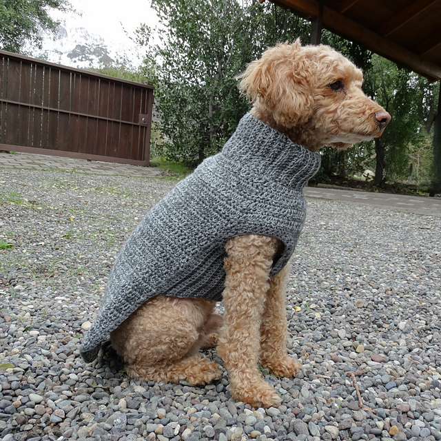 Dog Sweater