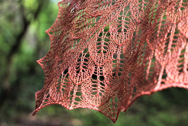 Copper Beech