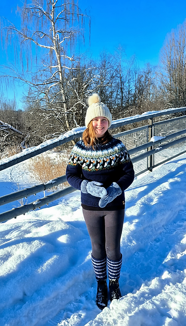 Nordic PuffinPuffin Sweater