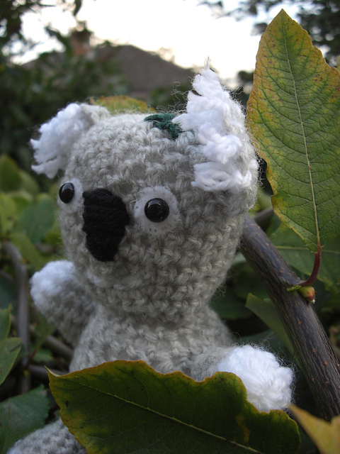 Kimmie the Koala Bear