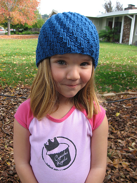 One Skein Noro On A Budget Spiral Rib Hat Recipe