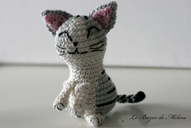 Chi the Cat