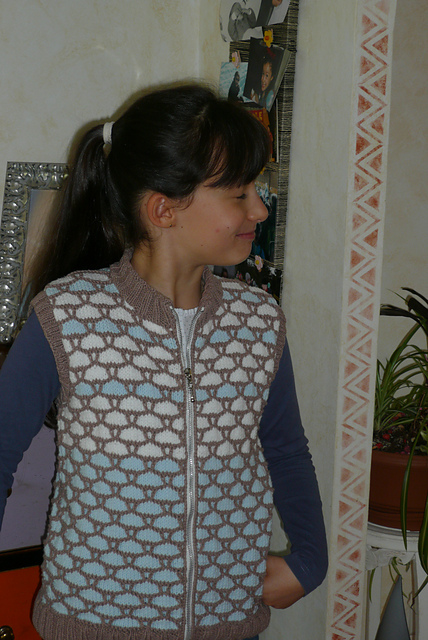 Blouson sans manche / Sleeveless Jacket