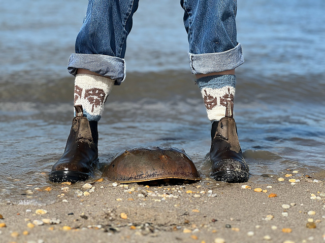 Horseshoe Crab Socks