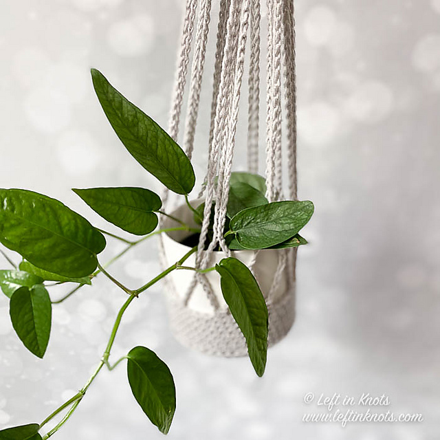 Plant Hanger