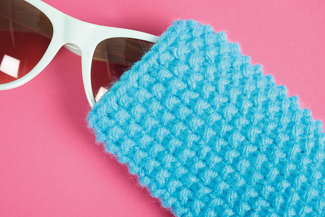 Glasses Case