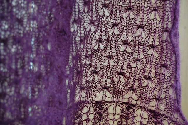 Violet Moth