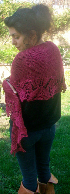 Tulip Fields Lace Shawlette