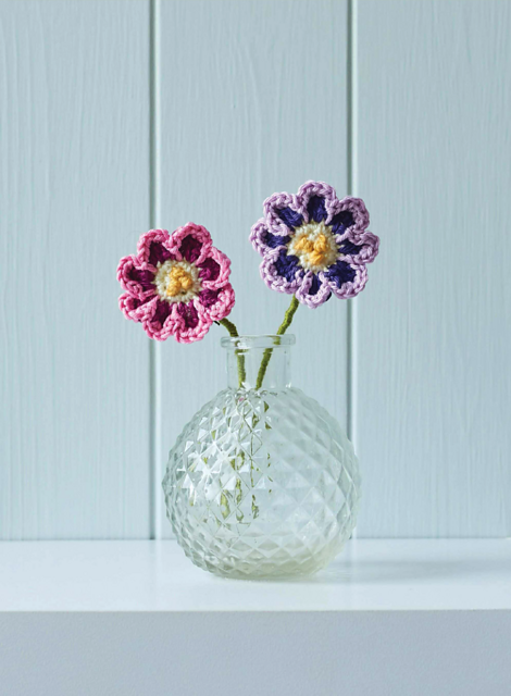 Auricula
