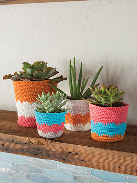 Sweet Succulent Pots