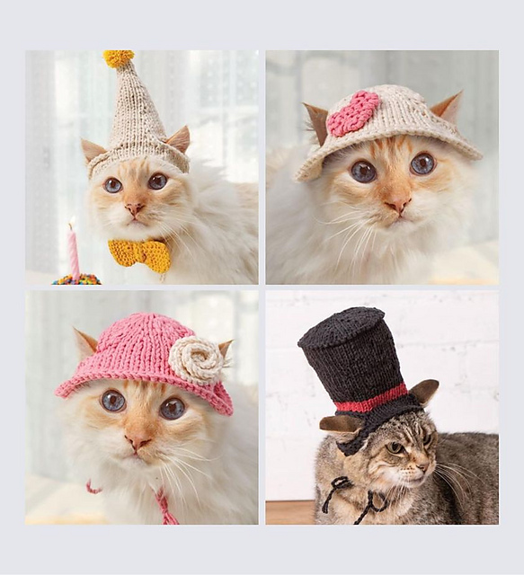 Knit Pet Hats