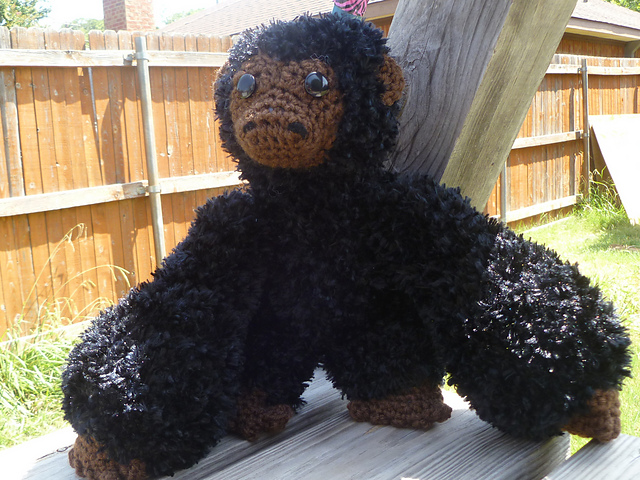 Gorilla