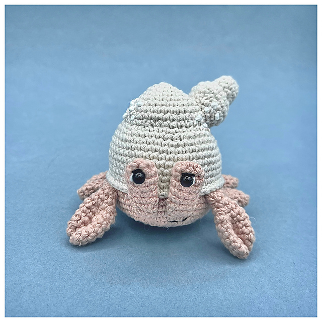 Hermit crab