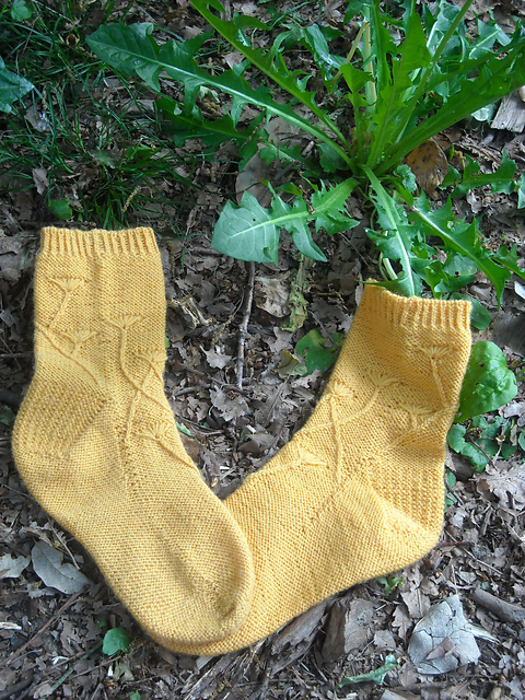Pissenlits - socks