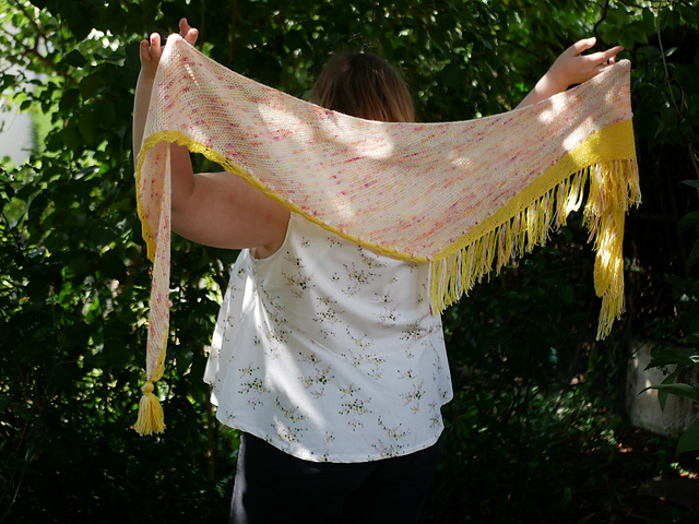 Cray cray Shawl
