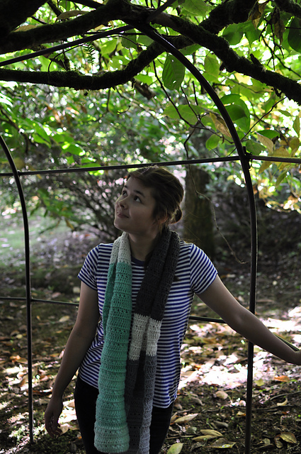 Crosses and Lines Scarf