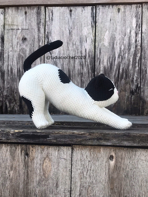 Black and white Cat stretch