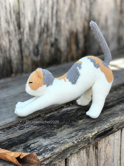 Calico cat stretch
