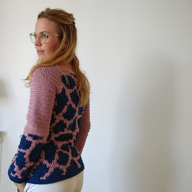 The Whole Zoo - Giraffe Raglan