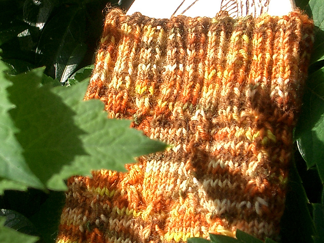 6393 Socks For Ladies
