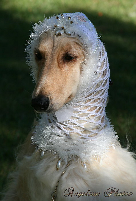 Autumn Leaves Snood