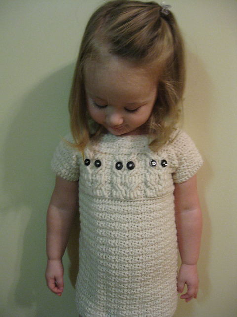 Little Owl Sweater Dress
