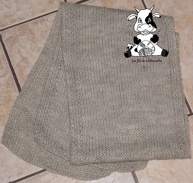 Echarpe Simple pour Homme