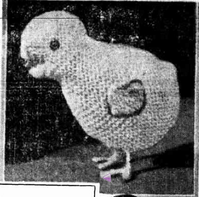 Cuddly Toys to Make for Christmas, Little Chicken