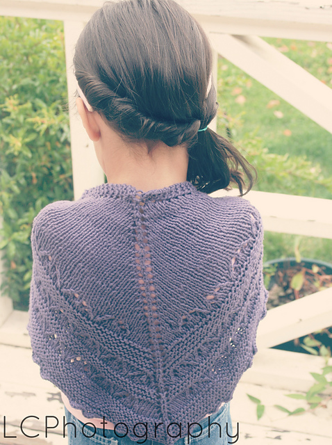 Little Lace Shawl