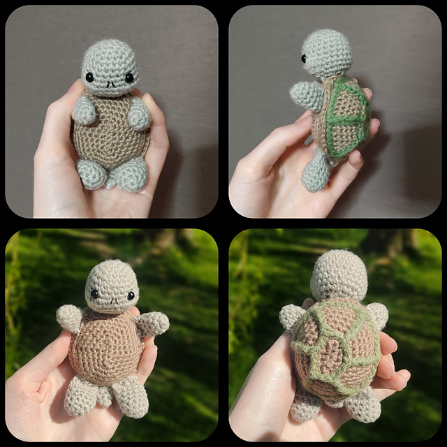 Tortoise