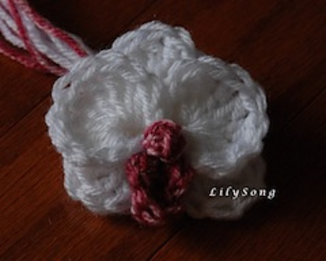LilySong Orchid