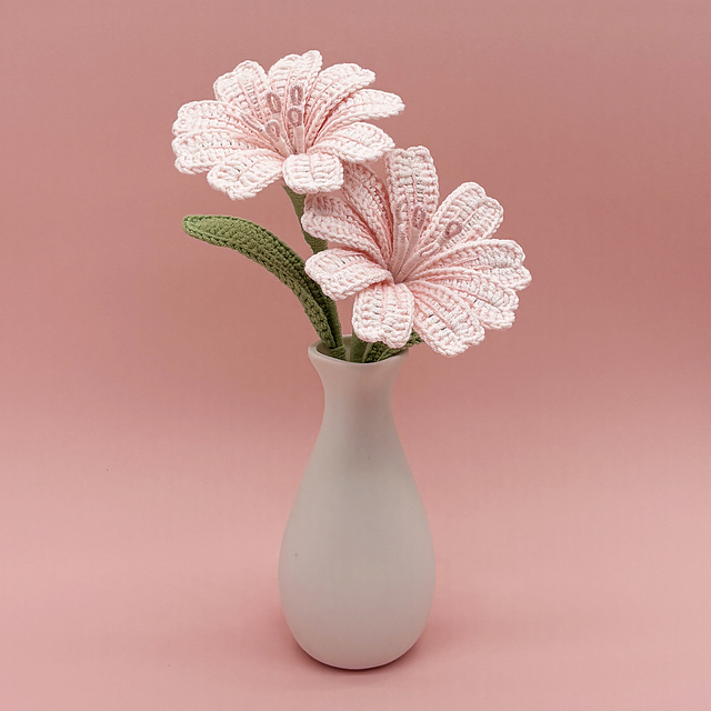 Lewisia Flower
