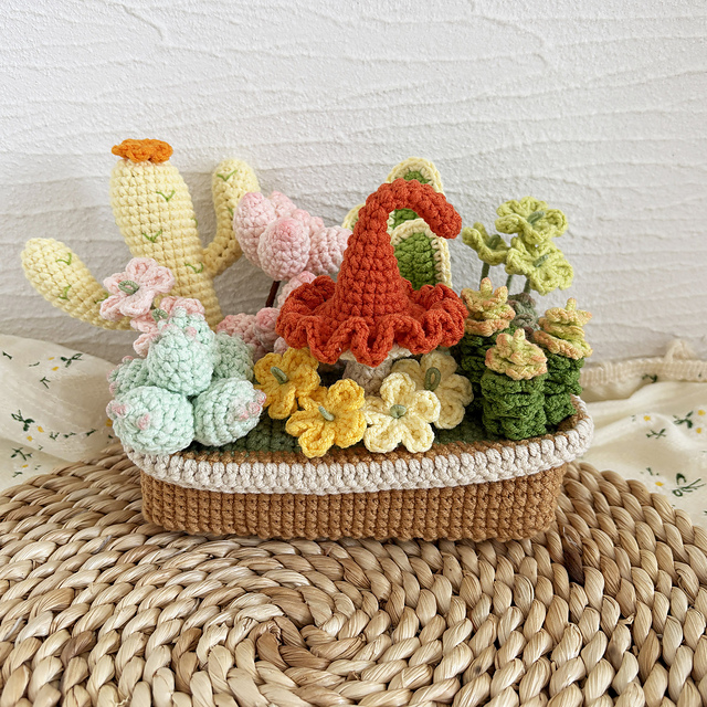 Pot of Succulents