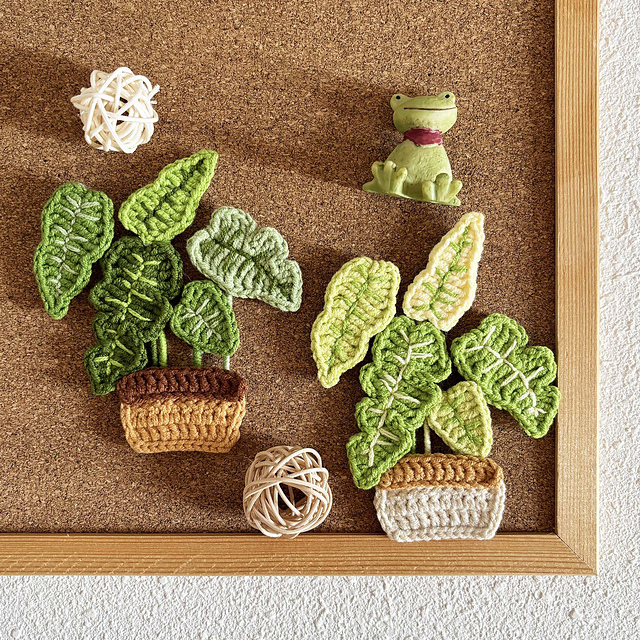 Flat Monstera Pot
