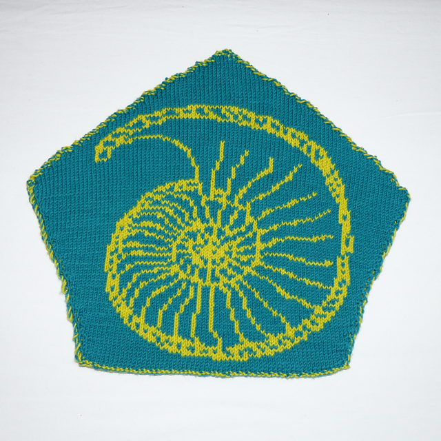 Ammonite in Pentagon Chair Cover
