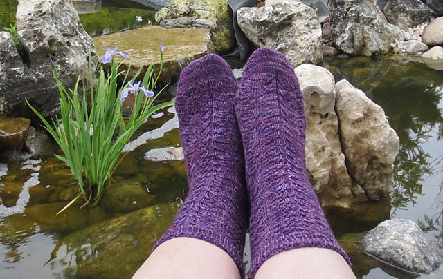 Wild Iris Socks