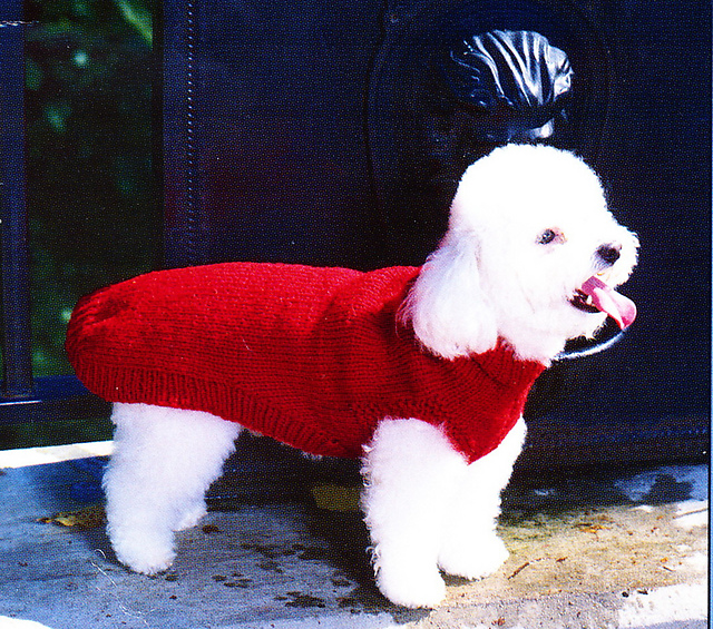 Cable knit dog sweater