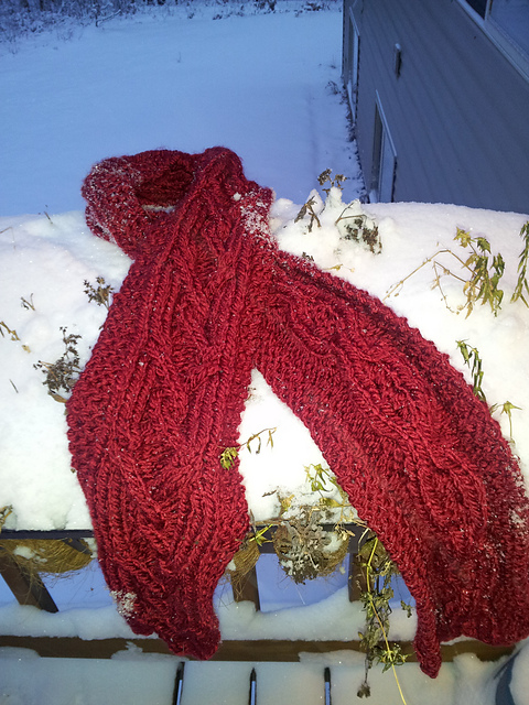 Fancy Cabled Scarf