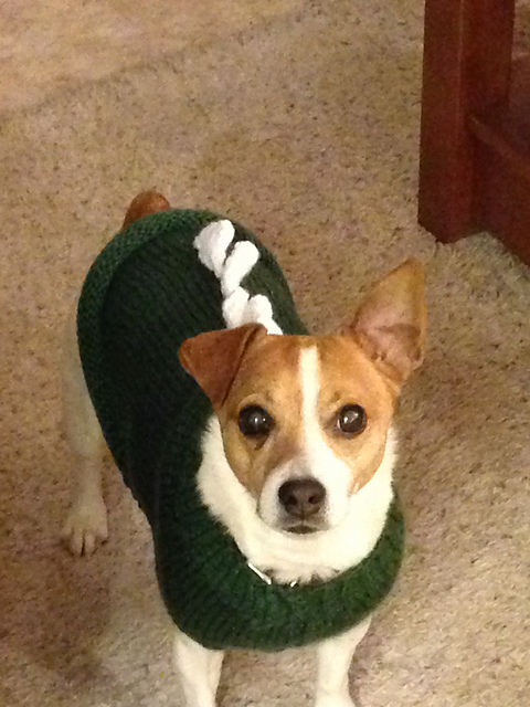 Dinosaur Doggy Sweater - Jack Russell