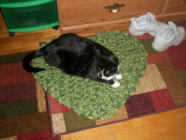 Heart Rug