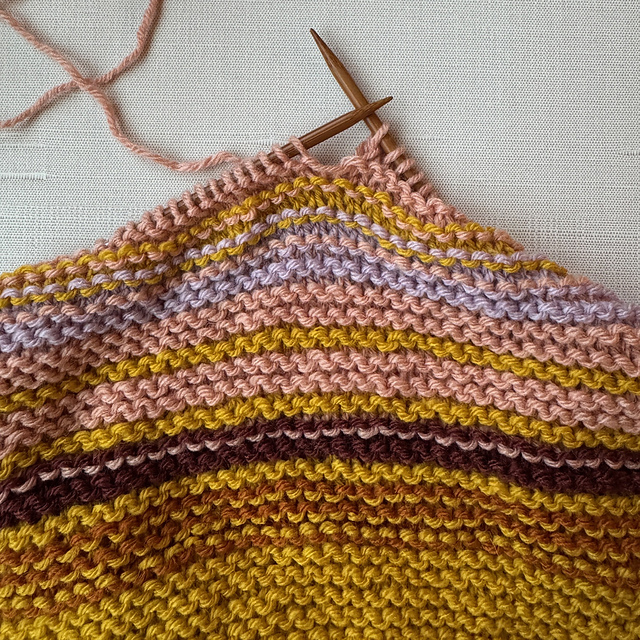 2025 Temperature Blanket (Knit)
