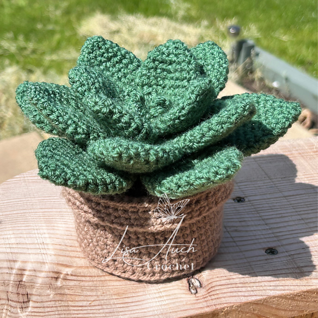Ravelry: Succulent Plant pattern by LisaAuch Crochet