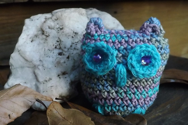 Lisa's Little Owl