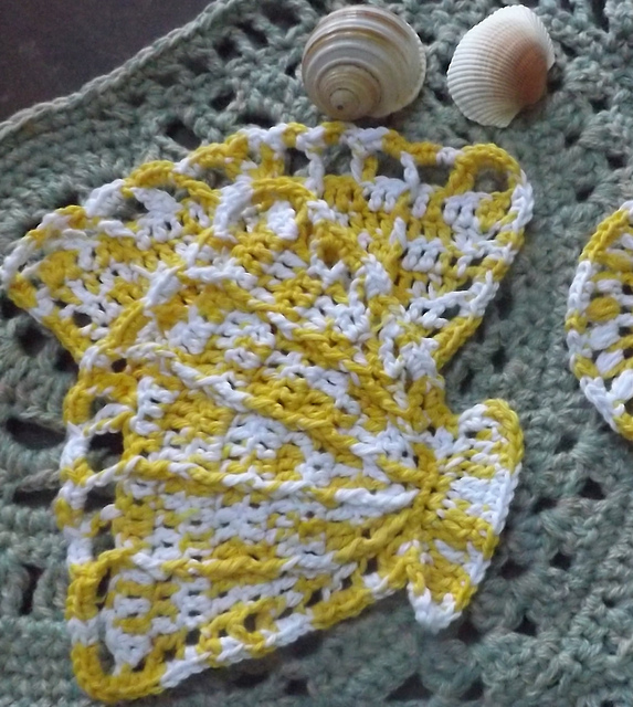 Coastal Seashell